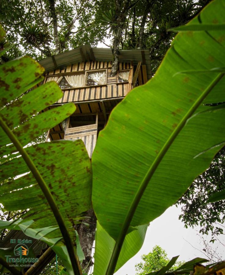 Villa Eden Treehouse Mindo Exterior foto