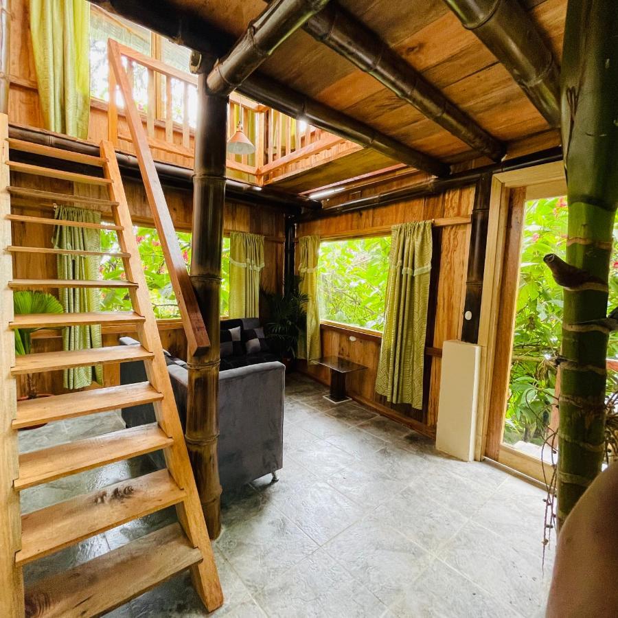 Villa Eden Treehouse Mindo Exterior foto